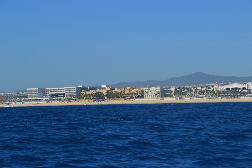 DSC_0037.JPG