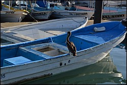 DSC_0001.JPG