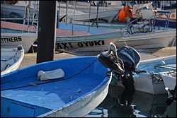 DSC_0002.JPG