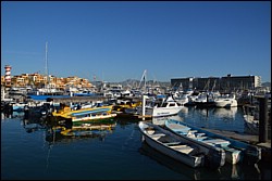 DSC_0005.JPG