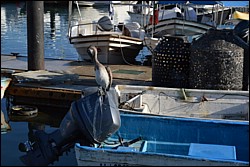 DSC_0006.JPG