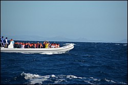 DSC_0027.JPG
