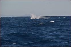 DSC_0028.JPG
