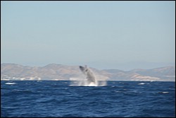 DSC_0030.JPG