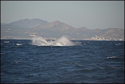 DSC_0031.JPG