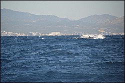 DSC_0032.JPG