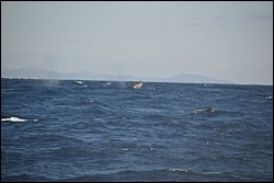 DSC_0033.JPG