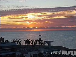 IMG_20191216_065733311.jpg