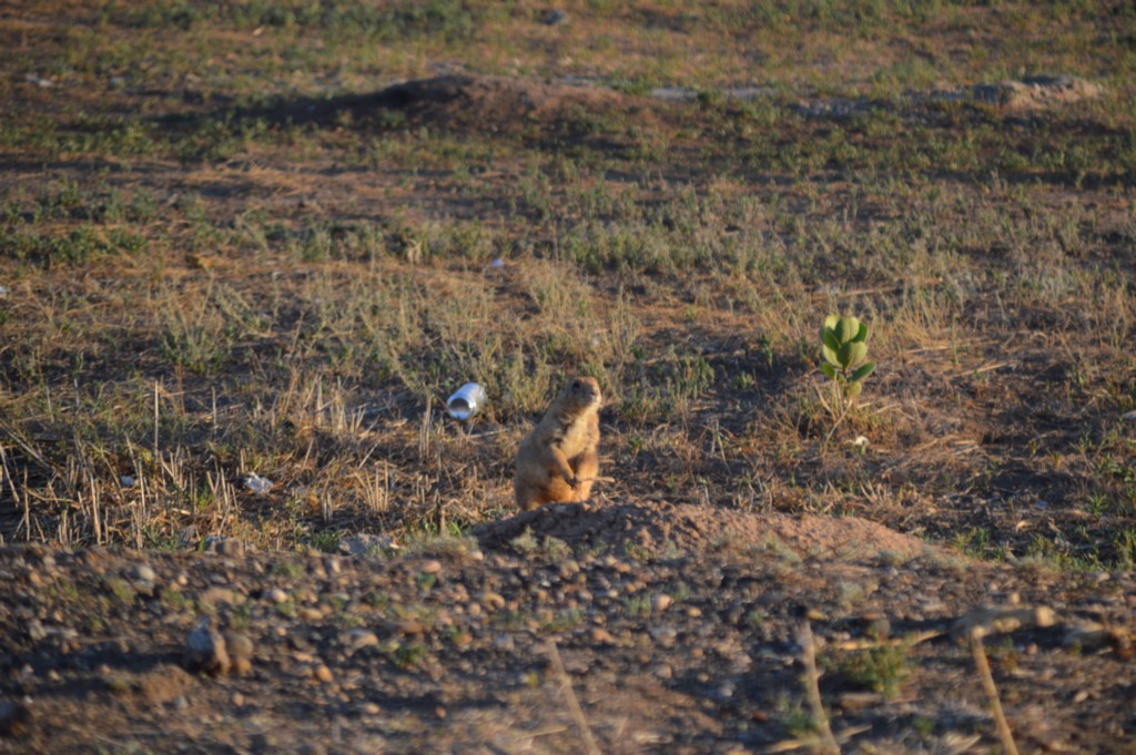 DSC_0014.JPG