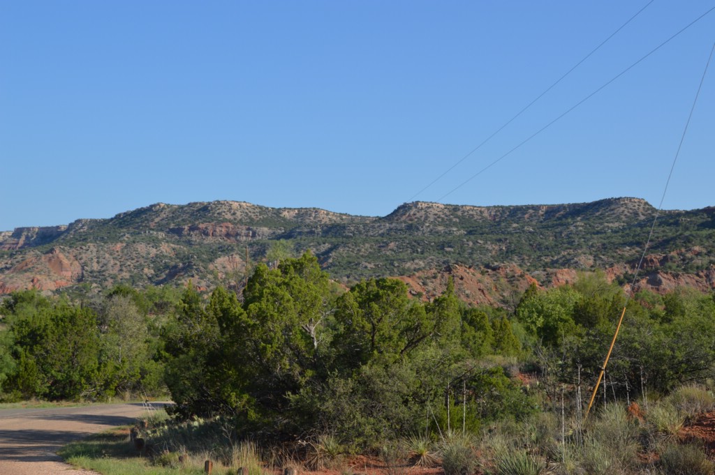 DSC_0026.JPG