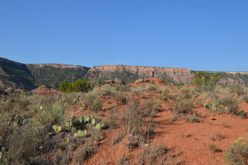 DSC_0027.JPG