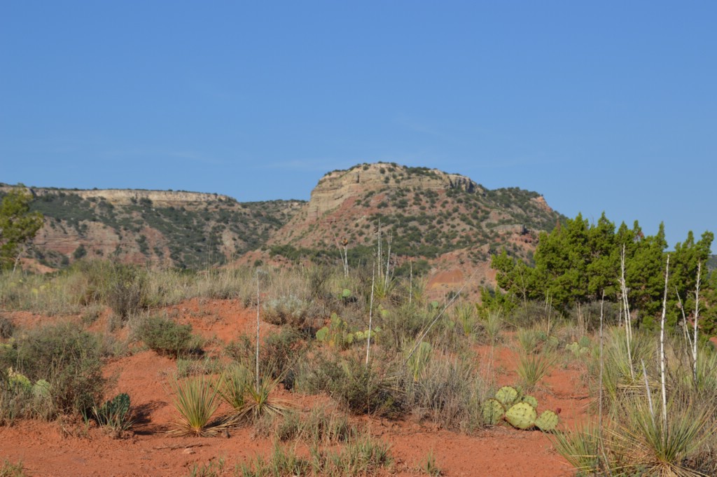 DSC_0028.JPG