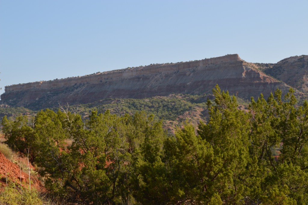 DSC_0030.JPG