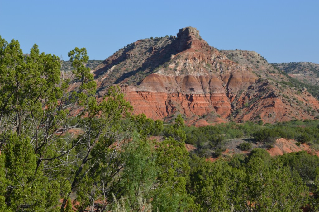DSC_0033.JPG
