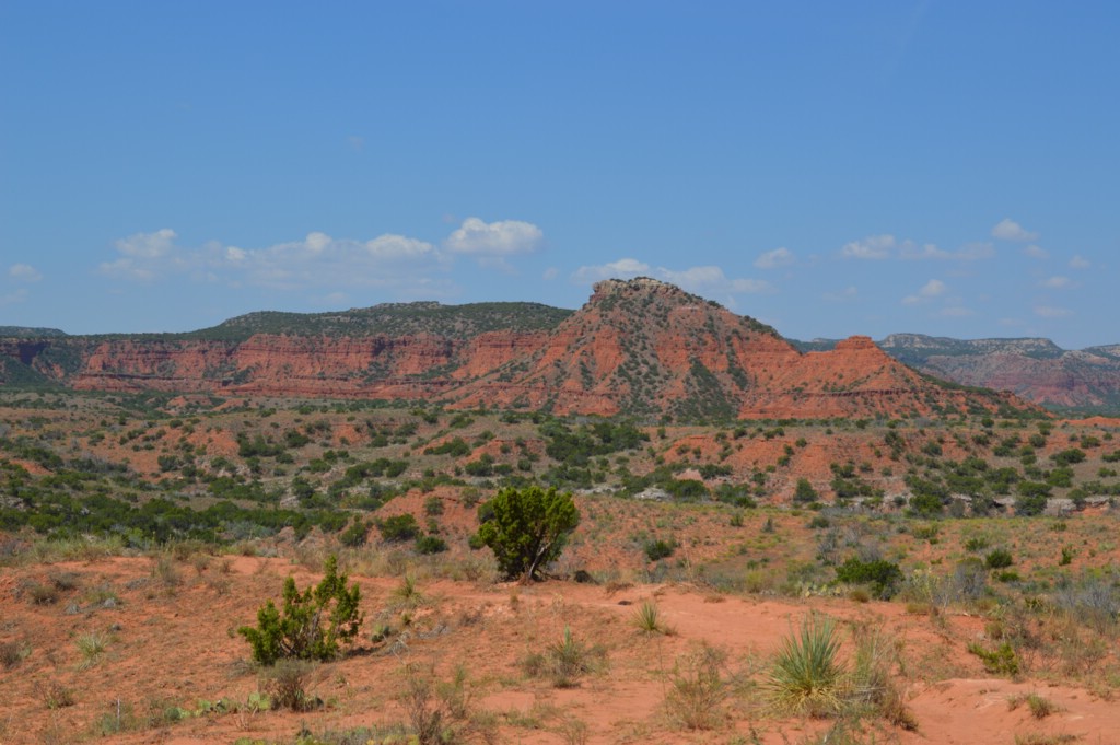 DSC_0051.JPG