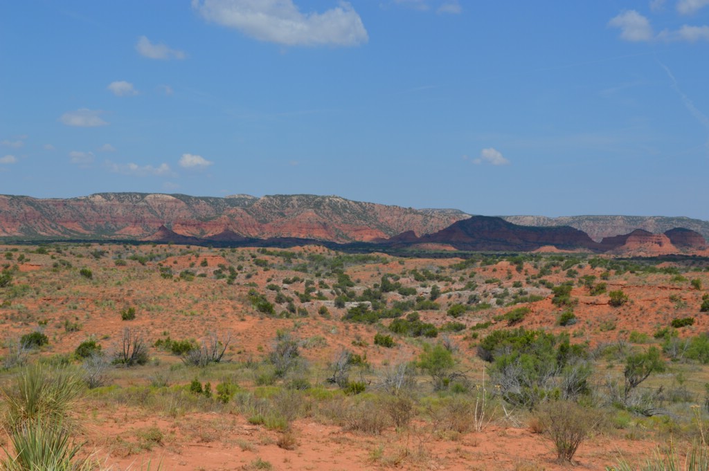 DSC_0052.JPG