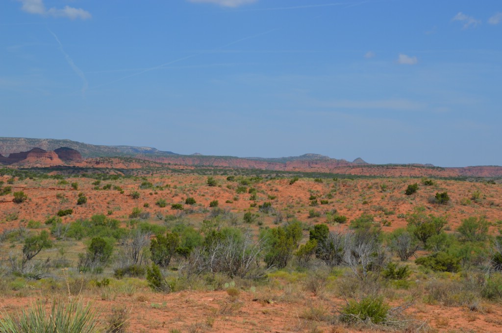 DSC_0053.JPG