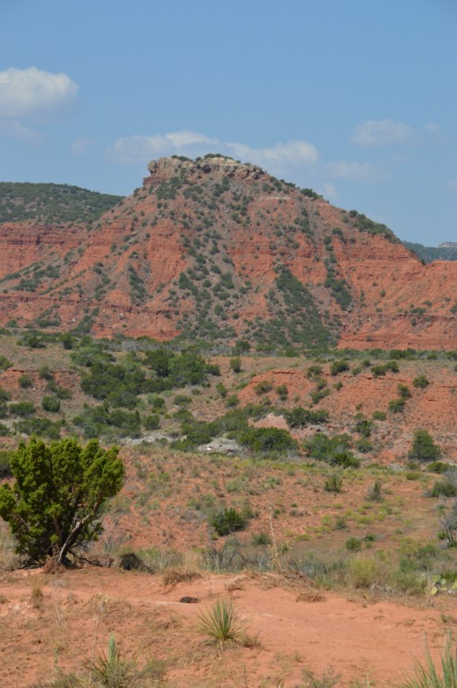 DSC_0055.JPG