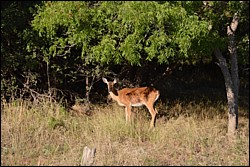 DSC_0020.JPG