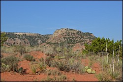 DSC_0028.JPG