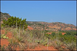 DSC_0029.JPG