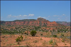 DSC_0051.JPG