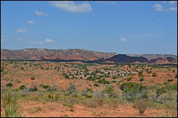DSC_0052.JPG