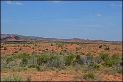 DSC_0053.JPG