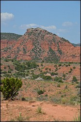 DSC_0055.JPG