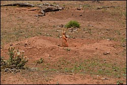 DSC_0070.JPG