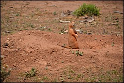 DSC_0072.JPG