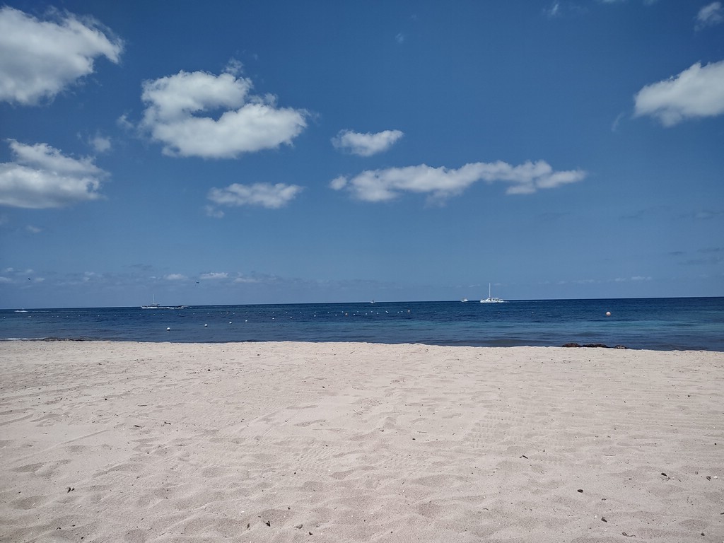 IMG_20220411_114827805_HDR.jpg