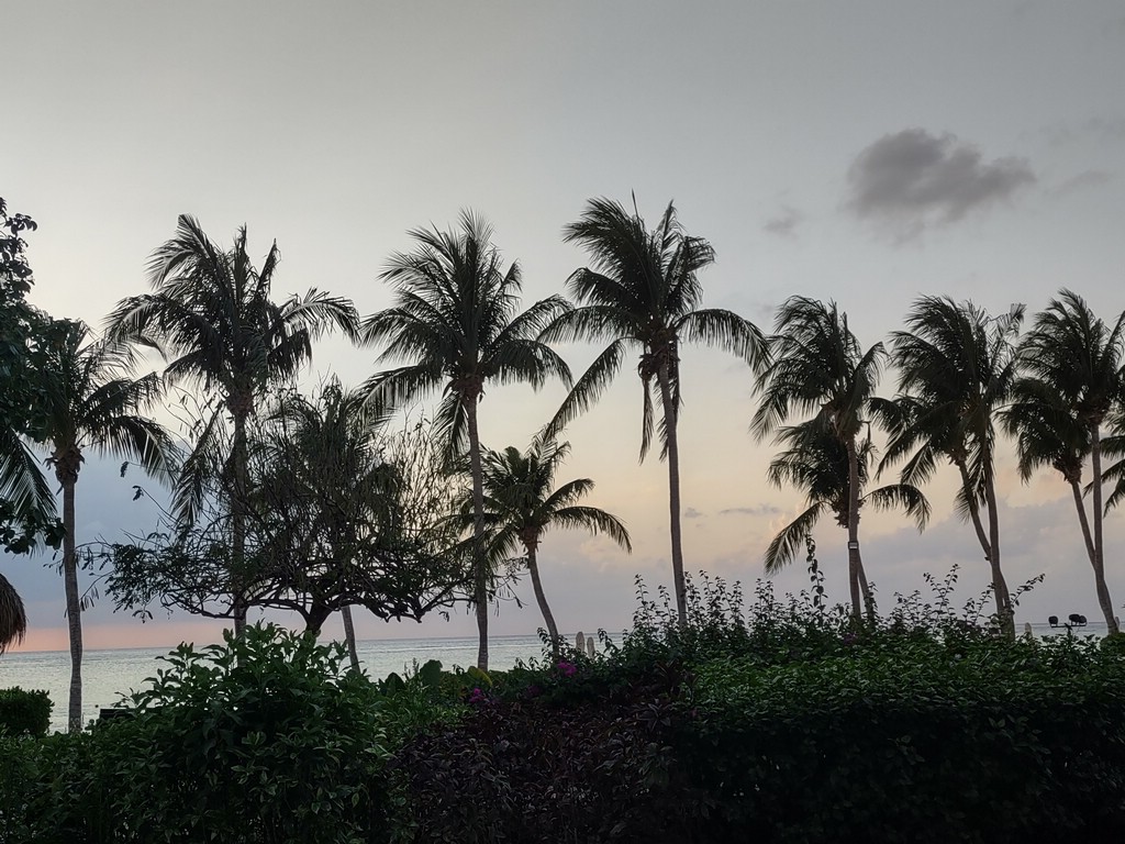IMG_20220411_184413916_HDR.jpg