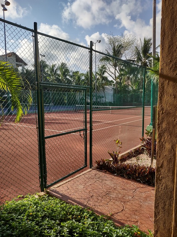 IMG_20220412_081437677_HDR.jpg