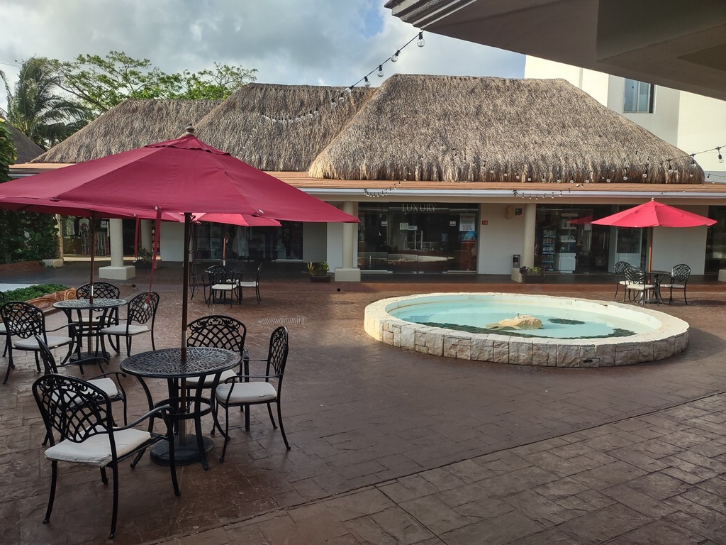 IMG_20220412_081633478_HDR.jpg
