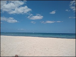 IMG_20220411_115121478.jpg