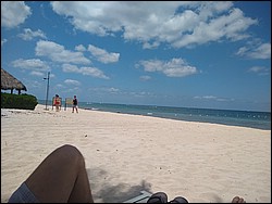 IMG_20220411_115146765.jpg