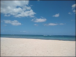 IMG_20220411_115152777.jpg
