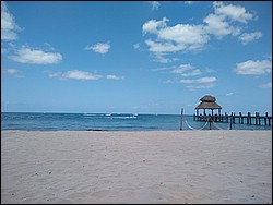 IMG_20220411_115225987.jpg