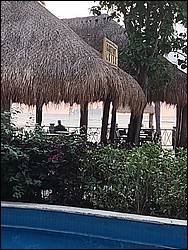 IMG_20220411_184337374.jpg