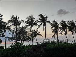IMG_20220411_184413916_HDR.jpg