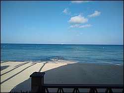 IMG_20220412_081036628.jpg