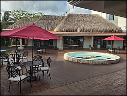 IMG_20220412_081633478_HDR.jpg