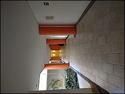 IMG_20220412_084104990.jpg