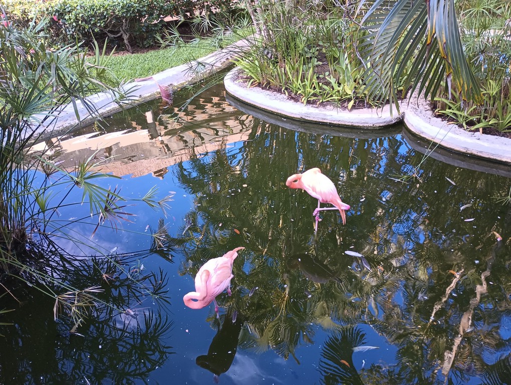 IMG_20230727_075922129.jpg