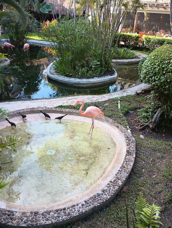 IMG_20230727_080047337.jpg
