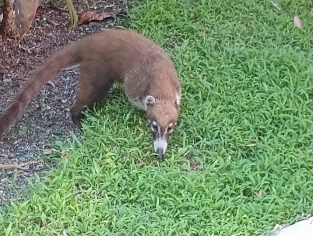 IMG_20230727_080723411.jpg