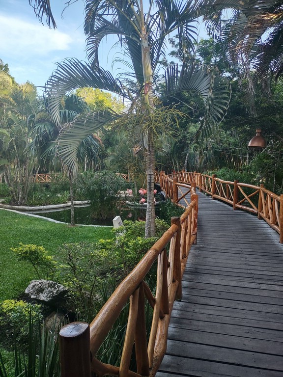 IMG_20230728_071626303_HDR.jpg