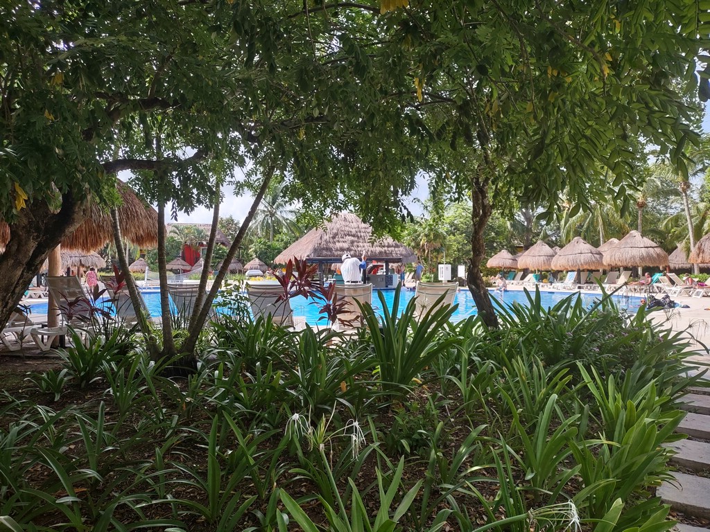 IMG_20230729_093546999_HDR.jpg