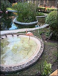 IMG_20230727_080045810.jpg